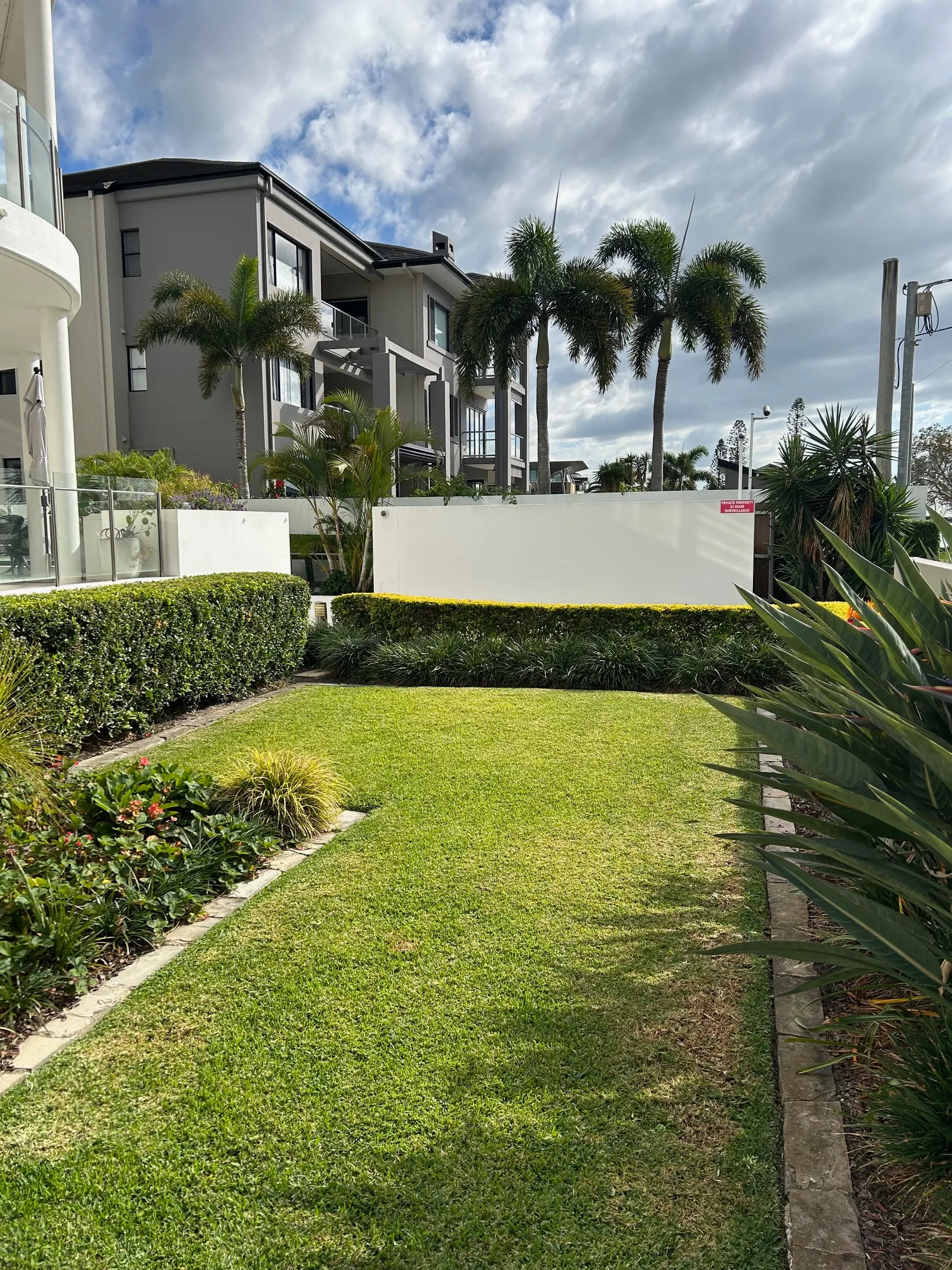 Healthy green lawn bordered by hedges and garden beds