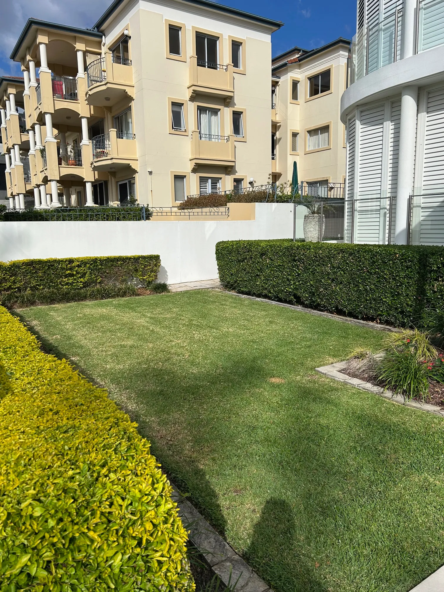 Maintained green lawn bordered by neatly trimmed hedges