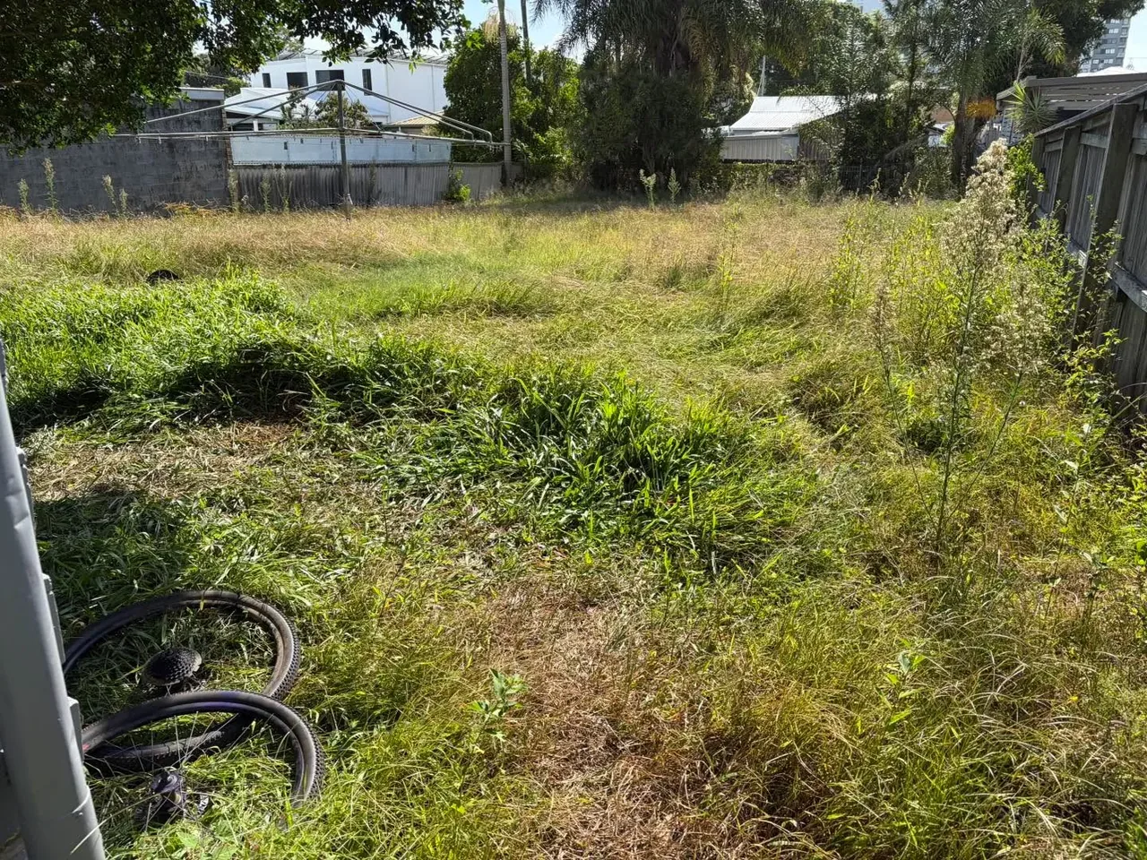 Overgrown residential backyard before lawn mowing