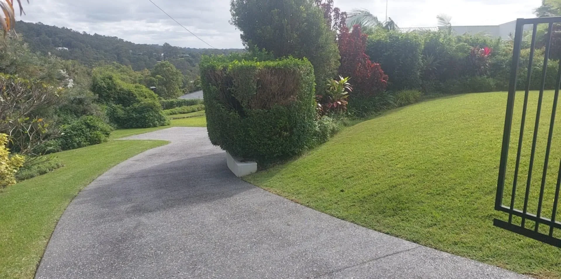 Large sloping lawn beside a driveway and clipped hedge